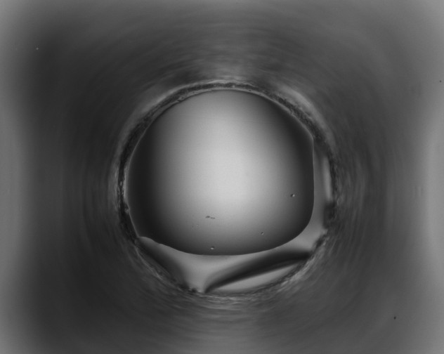 X0000088371172200705291321