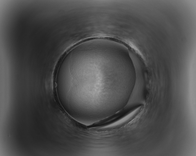 X0000088371173200705291321