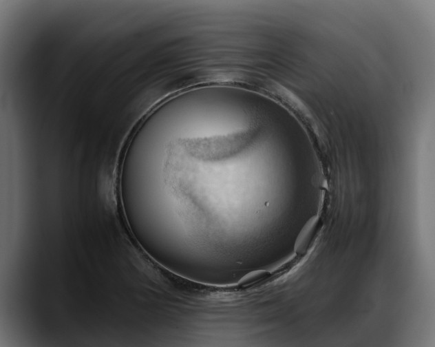 X0000088371178200705291321