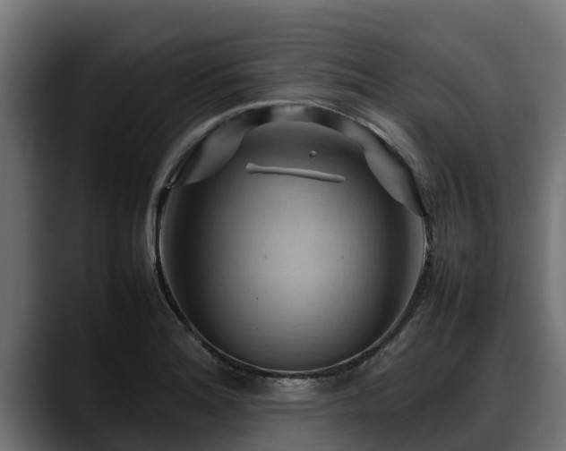 X0000088371180200705291321