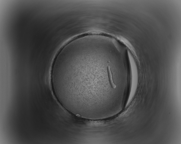 X0000088371183200705291321