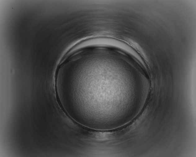 X0000088371184200705291321