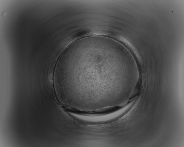 X0000088371185200705291321