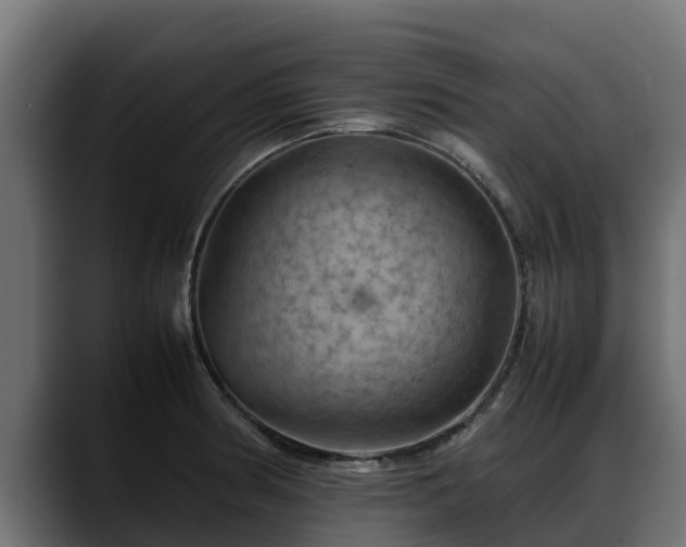 X0000088371186200705291321
