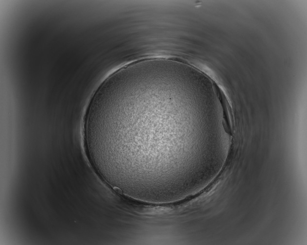 X0000088371187200705291321