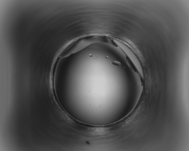 X0000088371188200705291321