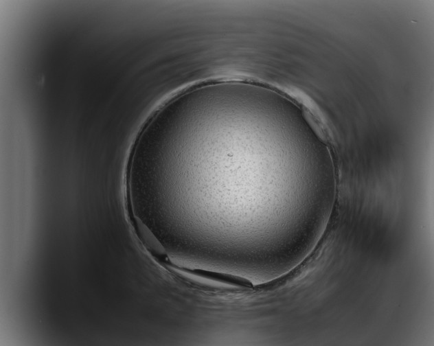 X0000088371191200705291321