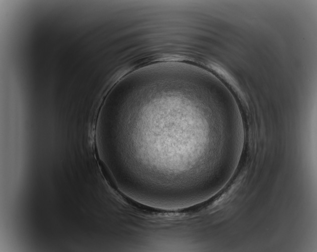 X0000088371193200705291321
