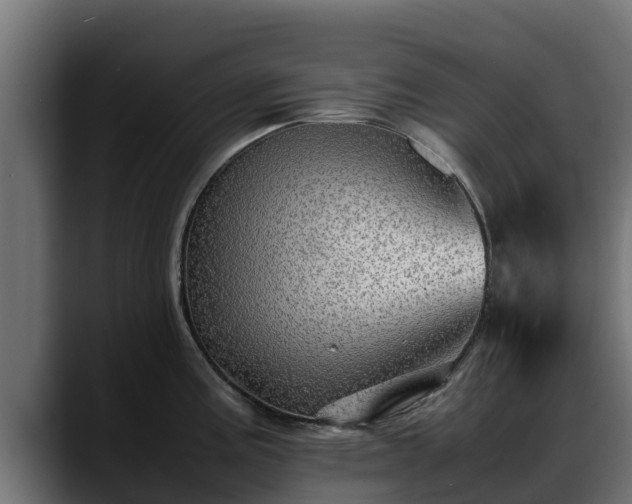 X0000088371195200705291321