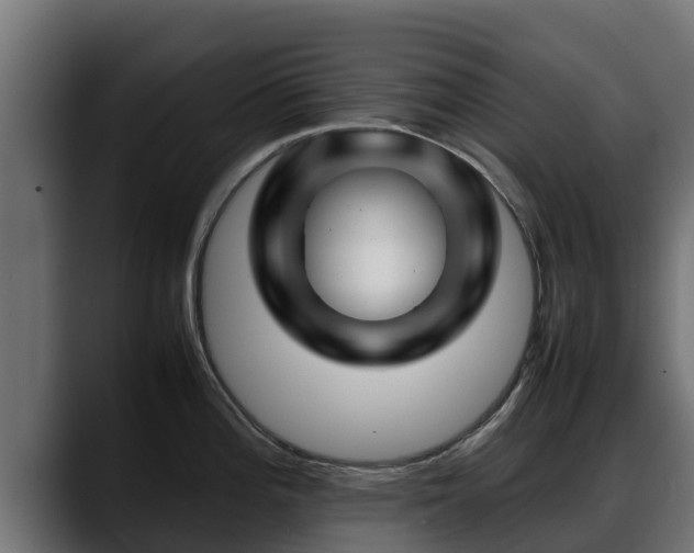 X0000088371196200705291321