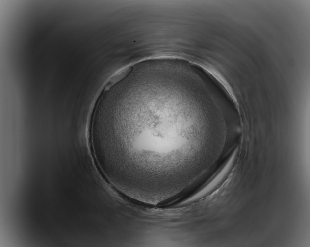 X0000088371197200705291321