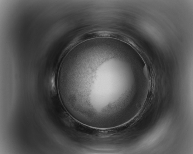 X0000088371198200705291321