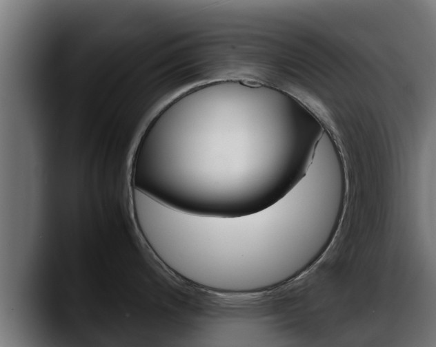 X0000088371200200705291321