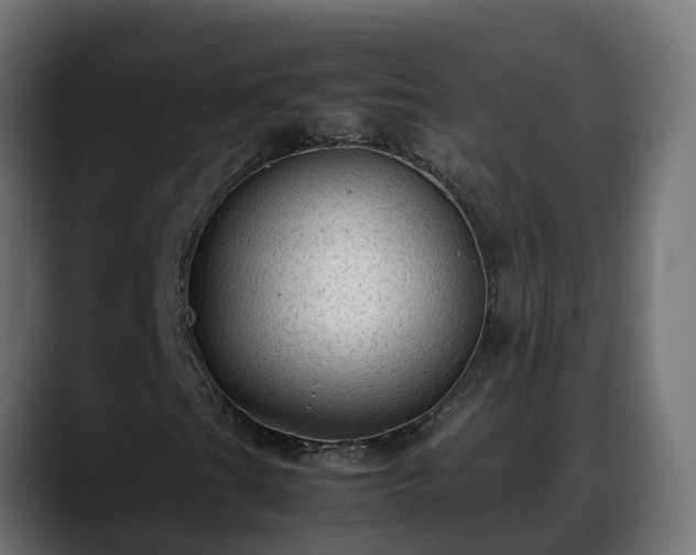 X0000088371201200705291320
