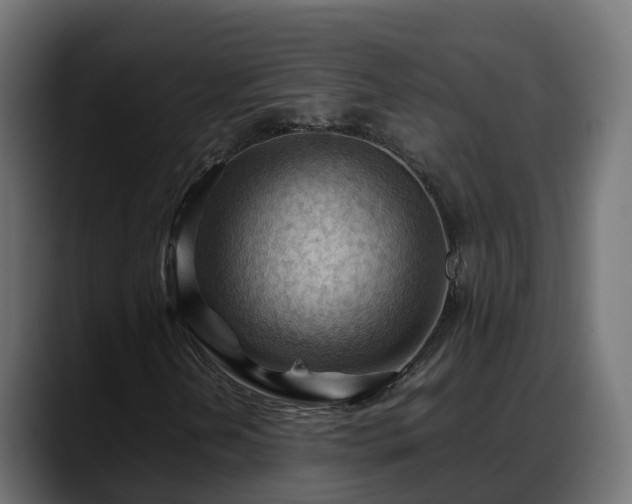 X0000088371202200705291320