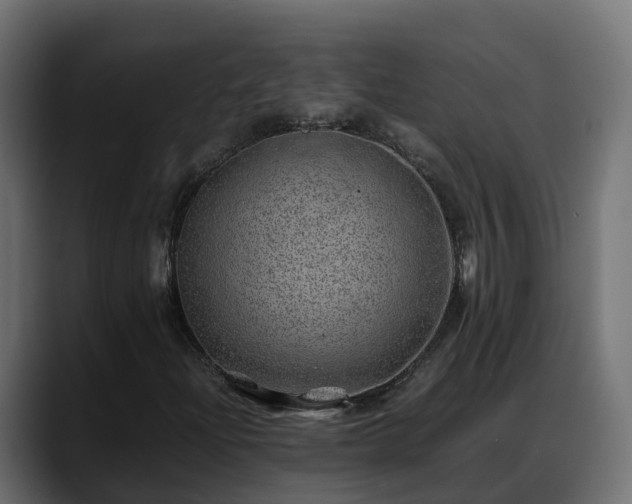 X0000088371204200705291320