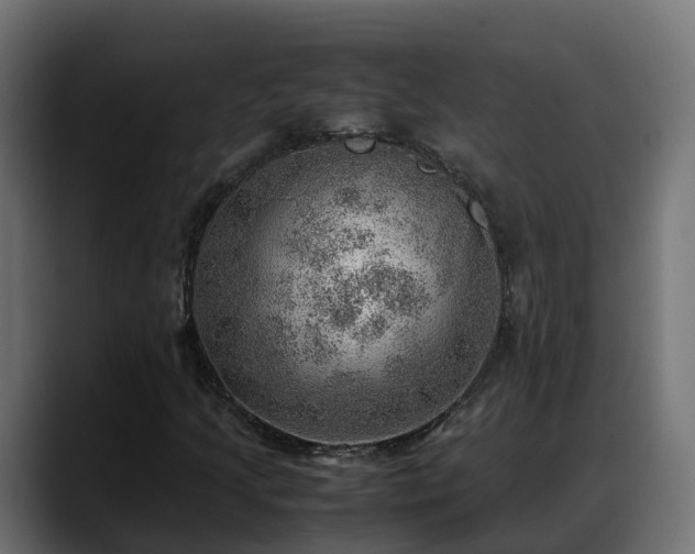 X0000088371205200705291320