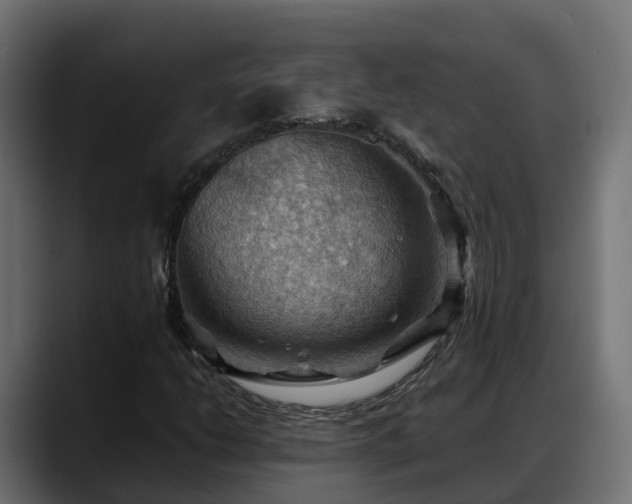 X0000088371206200705291320