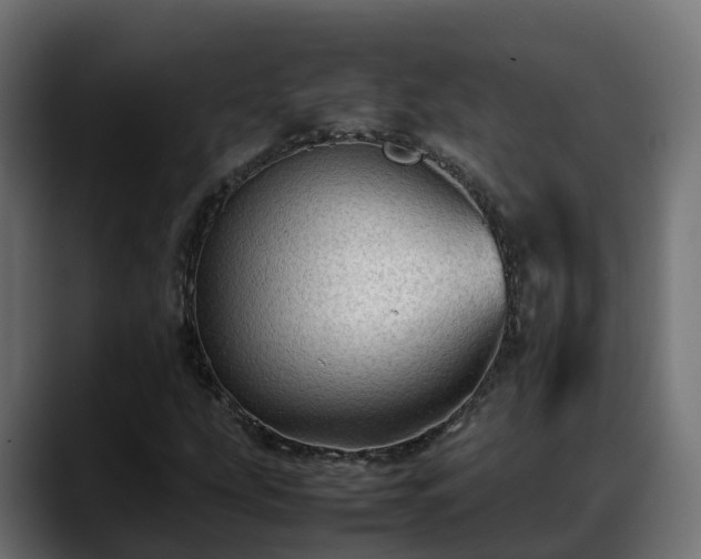 X0000088371207200705291320