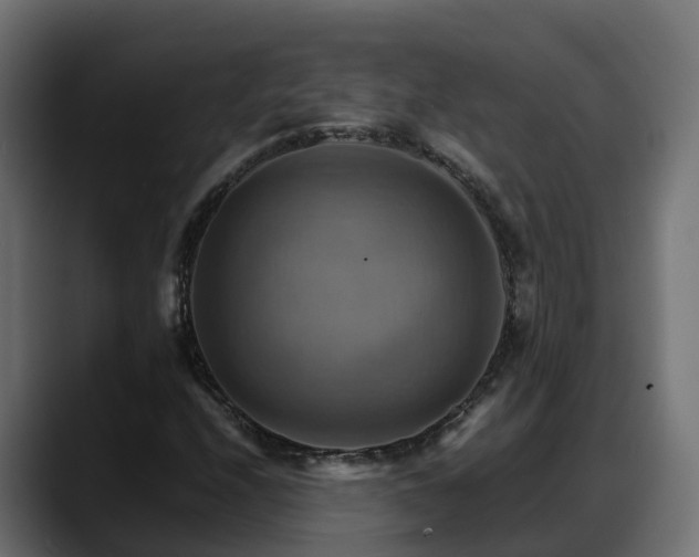 X0000088371208200705291320