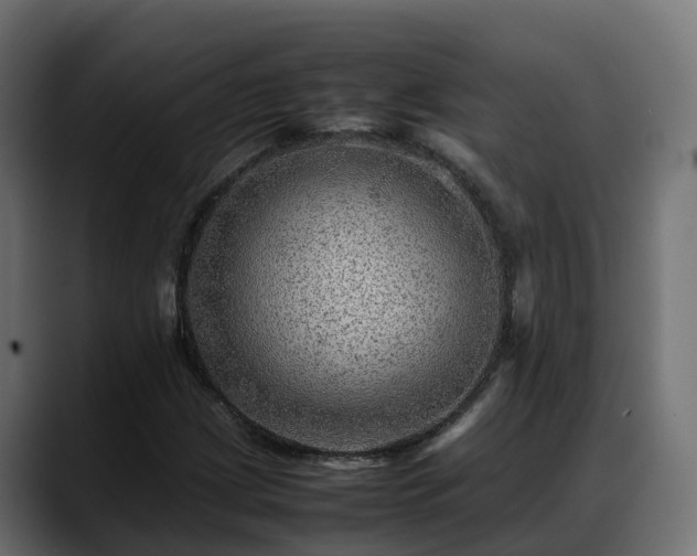 X0000088371209200705291320
