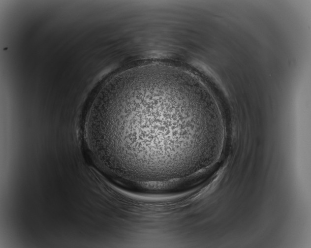 X0000088371210200705291320