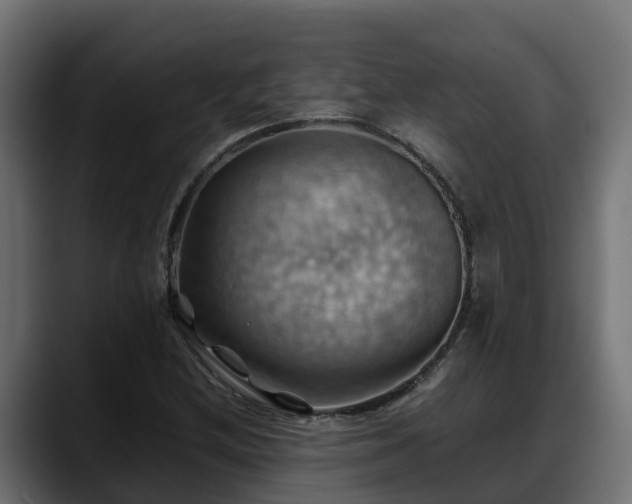 X0000088371212200705291321