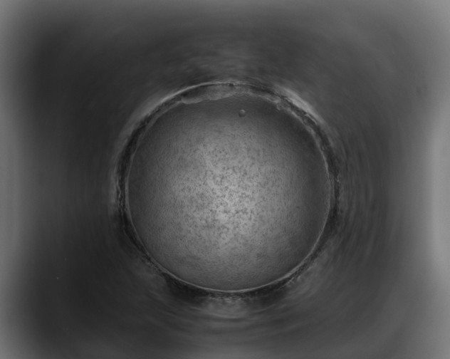 X0000088371215200705291321