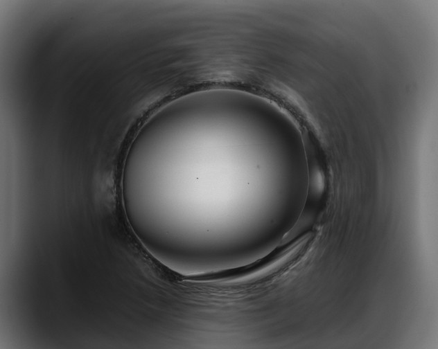 X0000088371218200705291321