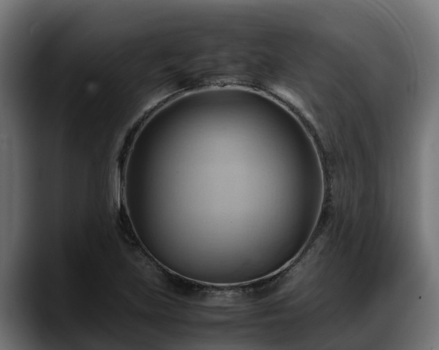 X0000088371219200705291321