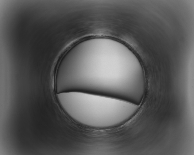 X0000088371224200705291321