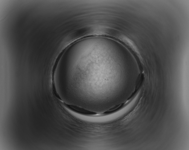 X0000088371226200705291321