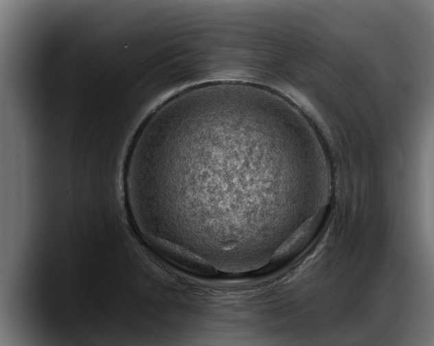 X0000088371230200705291321