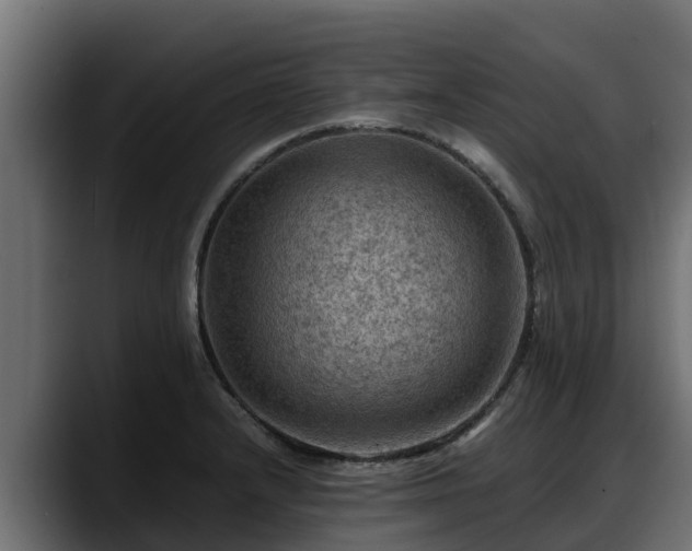 X0000088371232200705291321