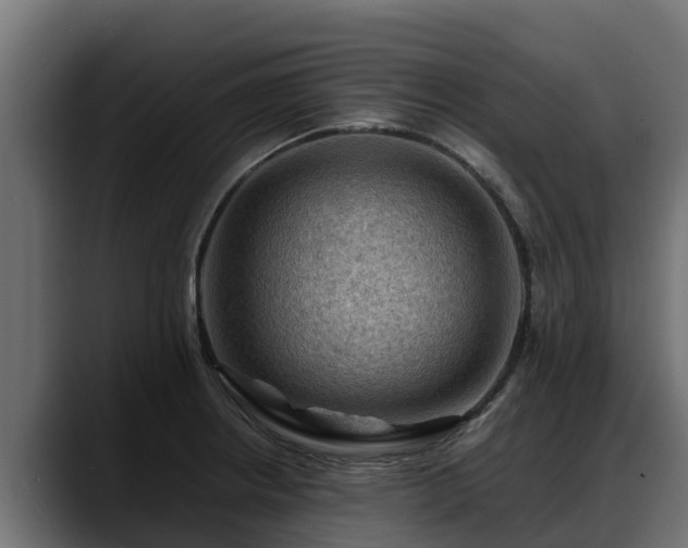 X0000088371234200705291321
