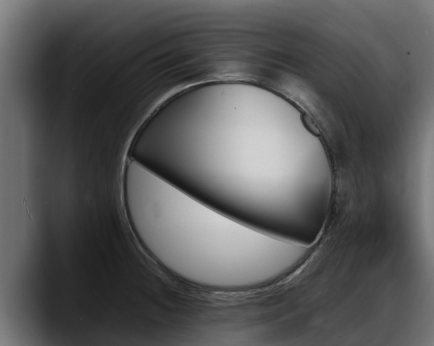 X0000088371236200705291321