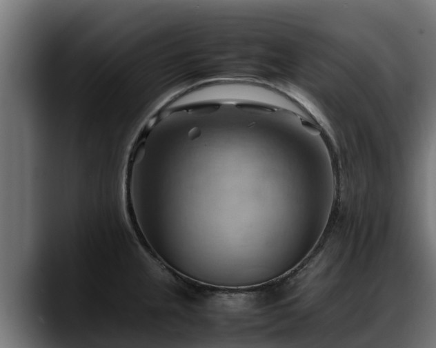 X0000088371237200705291321
