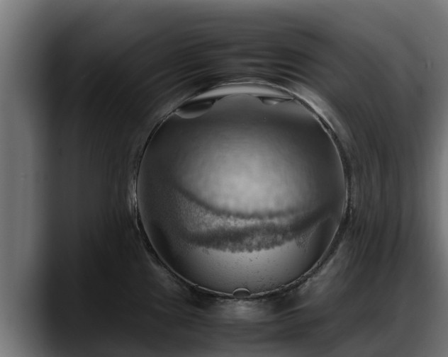 X0000088371241200705291321