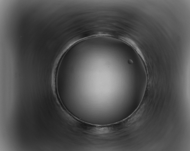 X0000088371243200705291321