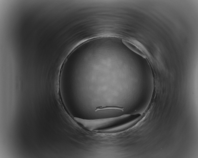 X0000088371244200705291321