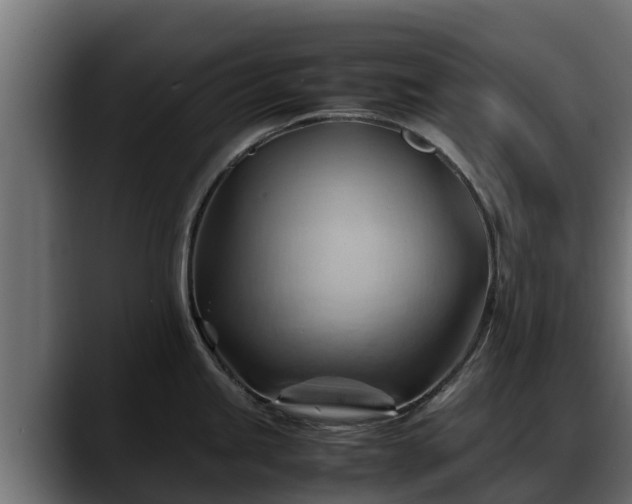 X0000088371245200705291321