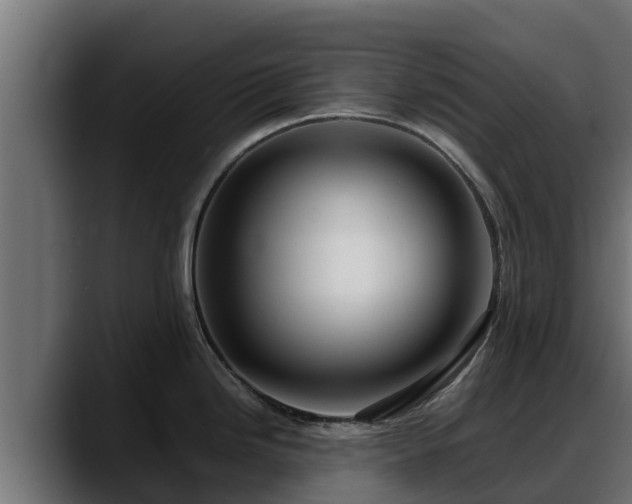 X0000088371246200705291321