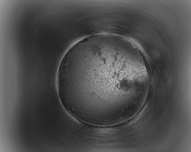 X0000088371247200705291321