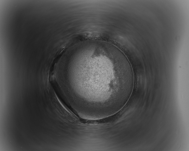 X0000088371250200705291320