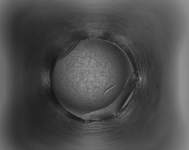 X0000088371252200705291320