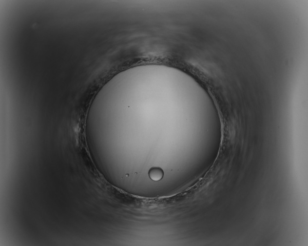 X0000088371254200705291320