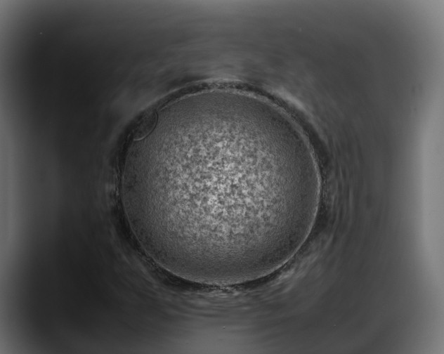 X0000088371255200705291320