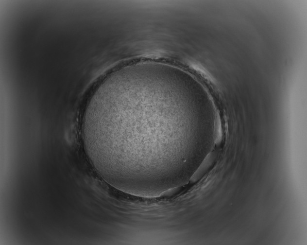 X0000088371256200705291320
