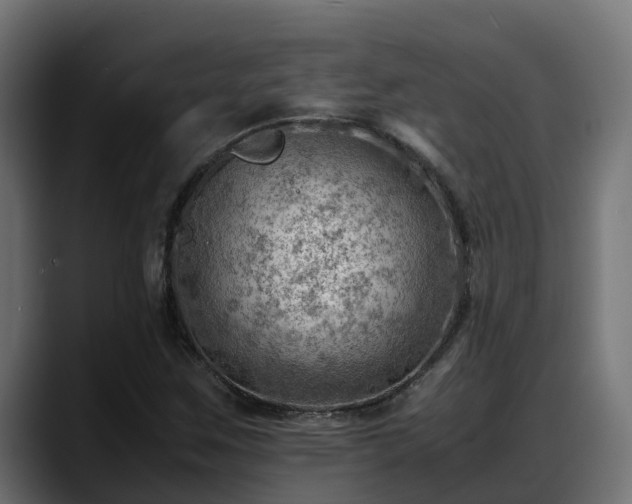 X0000088371259200705291320
