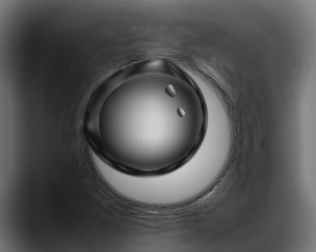 X0000088371261200705291320